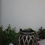 Smaragda Skopelos
